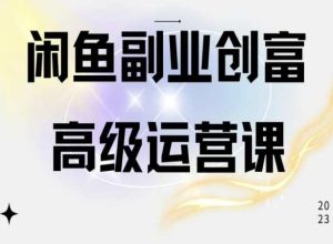 闲鱼电商运营高级课程，一部手机学会闲鱼开店赚钱-搞薯条网
