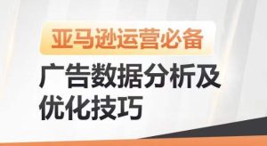 亚马逊广告数据分析及优化技巧，高效提升广告效果，降低ACOS，促进销量持续上升-搞薯条网