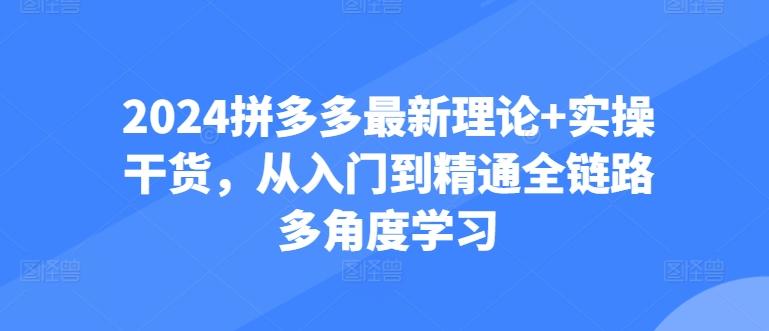2024拼多多最新理论+实操干货，从入门到精通全链路多角度学习-森森项目库
