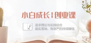 小白成长创业课：追求理论与实践结合，踏实落地，有尊严的持续赚钱-42节-搞薯条网