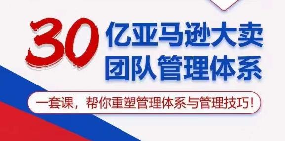30亿亚马逊大卖团队管理体系，一套课，帮你重塑管理体系与管理技巧 - 搞薯条网-搞薯条网