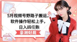 5月视频号野路子搬运，软件操作轻松上手，日入三位数【揭秘】-搞薯条网