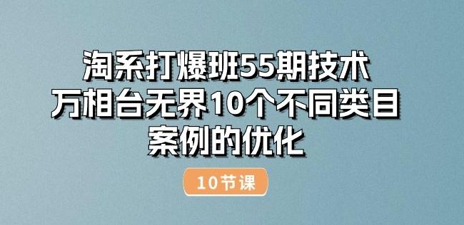 淘系打爆班55期技术：万相台无界10个不同类目案例的优化(10节)-森森项目库