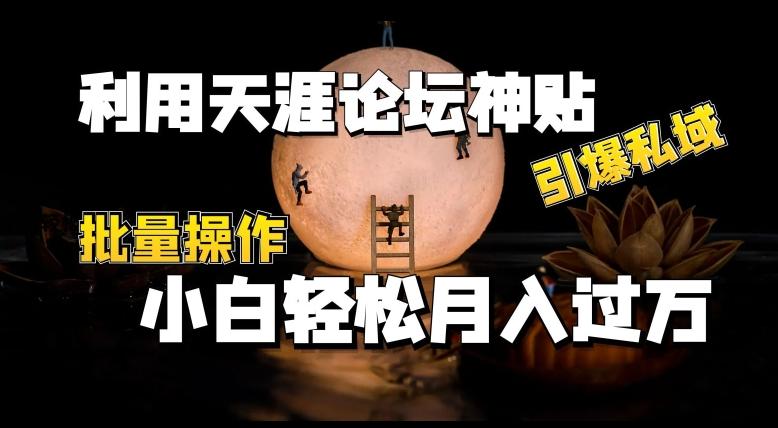 利用天涯论坛神贴，引爆私域，批量操作，小白轻松月入过w【揭秘】 - 搞薯条网-搞薯条网