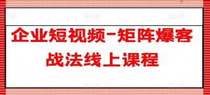企业短视频-矩阵爆客战法线上课程-搞薯条网