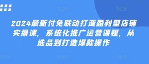 2024最新付免联动打造盈利型店铺实操课,系统化推广运营课程,从选品到打造爆款操作-搞薯条网