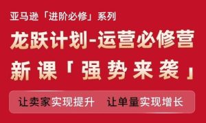 亚马逊进阶必修系列,龙跃计划-运营必修营新课,让卖家实现提升 让单量实现增长-搞薯条网