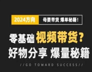 短视频母婴赛道实操流量训练营,零基础视频带货,好物分享,爆量秘籍-搞薯条网