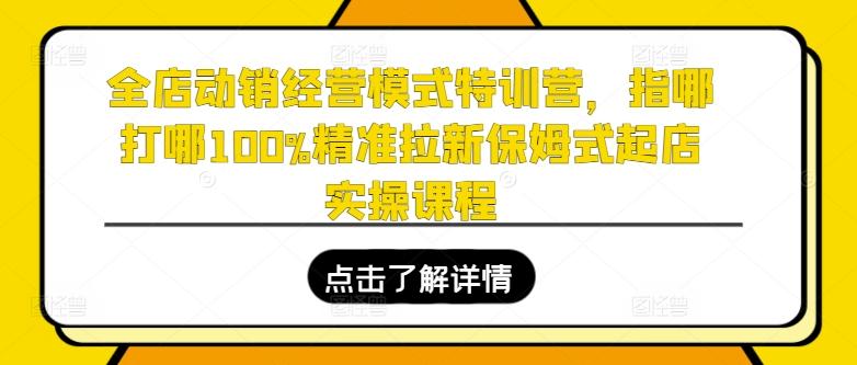 全店动销经营模式特训营，指哪打哪100%精准拉新保姆式起店实操课程-森森项目库