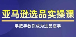 亚马逊选品实操课程,快速掌握亚马逊选品的技巧,覆盖亚马逊选品所有渠道-搞薯条网