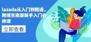 lazada从入门到精通,跨境东南亚新手入门必修课-搞薯条网
