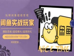 手把手教你0到1系统玩转闲鱼变现,爆款思维/超级曝光/超高转化-搞薯条网