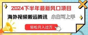 2024下半年最新风口项自,海外视频搬运腾讯,小白可上手,轻松月入过万【揭秘】-搞薯条网
