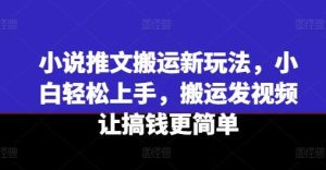 小说推文搬运新玩法，小白轻松上手，搬运发视频让搞钱更简单-搞薯条网