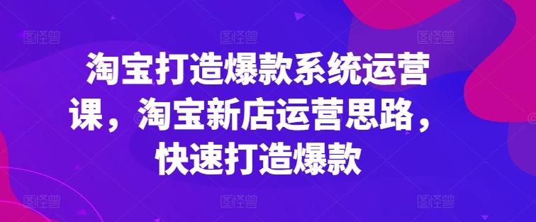 淘宝打造爆款系统运营课，淘宝新店运营思路，快速打造爆款 - 搞薯条网-搞薯条网
