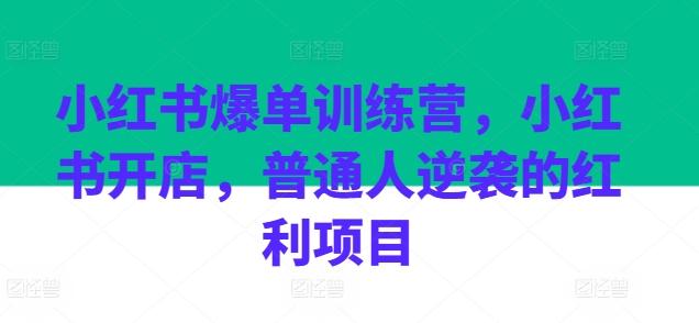 小红书爆单训练营，小红书开店，普通人逆袭的红利项目 - 搞薯条网-搞薯条网