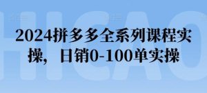 2024拼多多全系列课程实操,日销0-100单实操【必看】-搞薯条网
