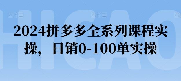 2024拼多多全系列课程实操，日销0-100单实操【必看】 - 搞薯条网-搞薯条网