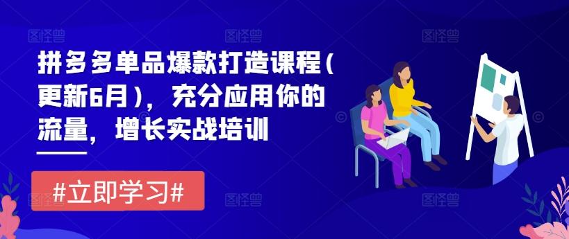 拼多多单品爆款打造课程(更新6月)，充分应用你的流量，增长实战培训 - 搞薯条网-搞薯条网