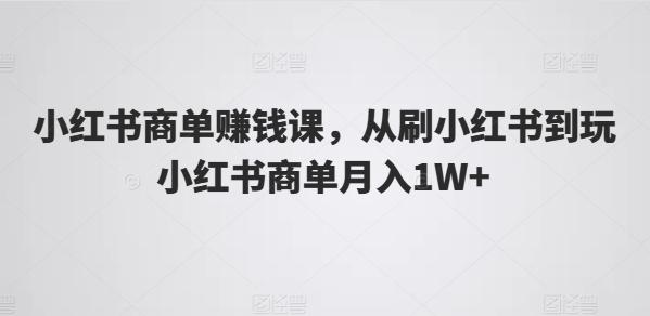 小红书商单赚钱课，从刷小红书到玩小红书商单月入1W+ - 搞薯条网-搞薯条网