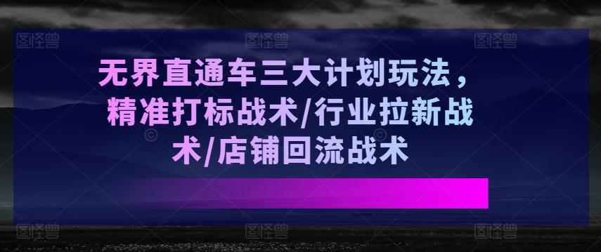无界直通车三大计划玩法，精准打标战术/行业拉新战术/店铺回流战术 - 搞薯条网-搞薯条网