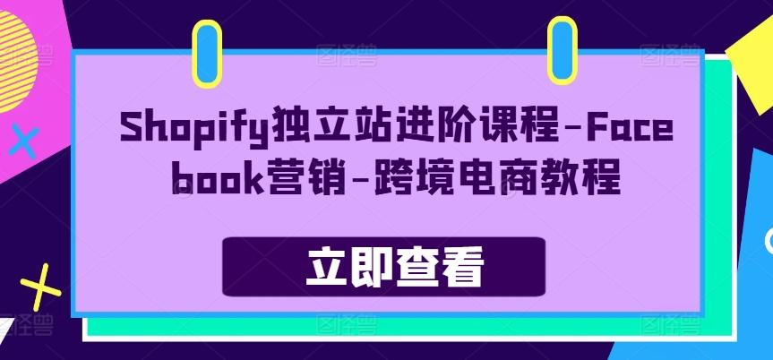 Shopify独立站进阶课程-Facebook营销-跨境电商教程 - 搞薯条网-搞薯条网
