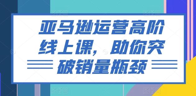 亚马逊运营高阶线上课，助你突破销量瓶颈 - 搞薯条网-搞薯条网
