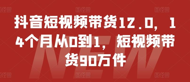 抖音短视频带货12.0，14个月从0到1，短视频带货90万件-森森项目库