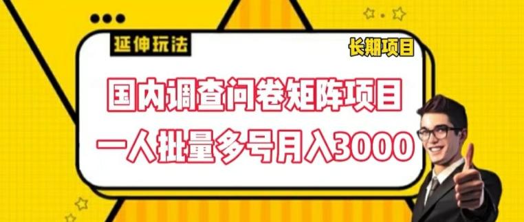 国内调查问卷矩阵项目，一人批量多号月入3000【揭秘】 - 搞薯条网-搞薯条网