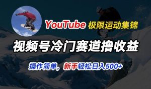 视频号冷门赛道撸收益，YouTube搬运极限运动集锦，暴力起号，操作简单流量高，轻松日入5张【揭秘】-搞薯条网