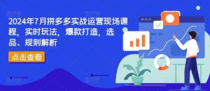 2024年7月拼多多实战运营现场课程,实时玩法,爆款打造,选品、规则解析-搞薯条网