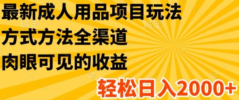 最新成人用品项目玩法，方式方法全渠道，轻松日入2K+【揭秘】 - 搞薯条网-搞薯条网