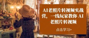 AI老照片转视频实战营,一线玩家教你AI老照片转视频-搞薯条网