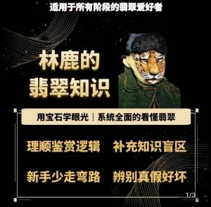 林鹿的翡翠知识，​用宝石眼光，系统全面的看懂翡翠-森森项目库