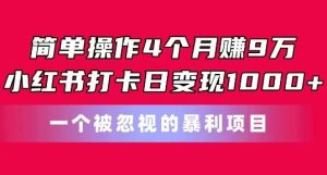 简单操作4个月赚9w，小红书打卡日变现1k，一个被忽视的暴力项目【揭秘】-搞薯条网