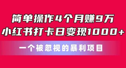 简单操作4个月赚9w，小红书打卡日变现1k，一个被忽视的暴力项目【揭秘】 - 搞薯条网-搞薯条网
