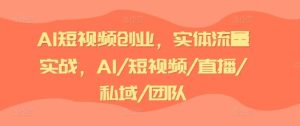 AI短视频创业，实体流量实战，AI/短视频/直播/私域/团队-搞薯条网