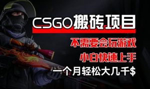 CSGO 装备搬砖项目，操作简单，不需要会玩游戏，小白也能快速上手，一个月轻松大几千【揭秘】-搞薯条网