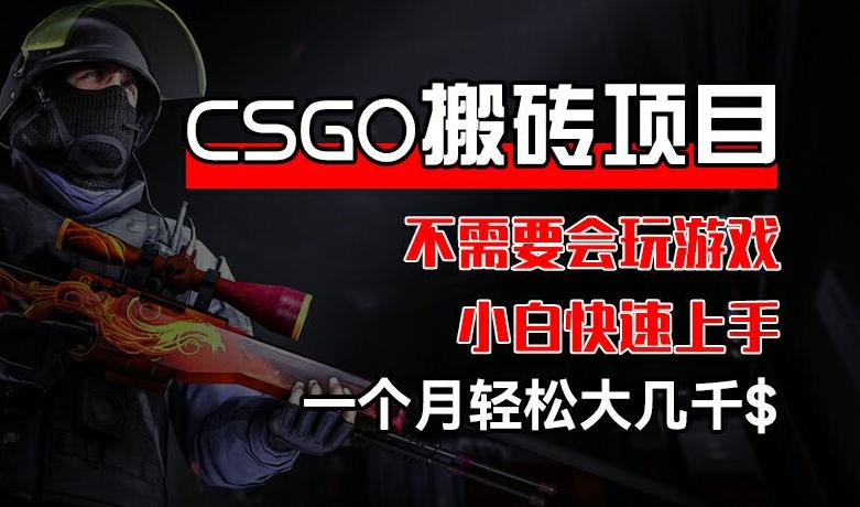 CSGO 装备搬砖项目，操作简单，不需要会玩游戏，小白也能快速上手，一个月轻松大几千【揭秘】 - 搞薯条网-搞薯条网