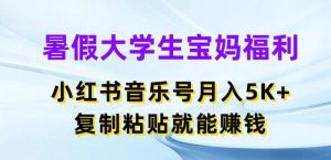 暑假大学生宝妈福利，小红书音乐号月入5000+，复制粘贴就能赚钱【揭秘】-搞薯条网