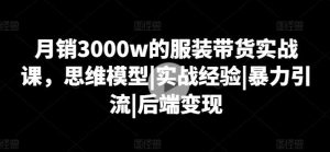 月销3000w的服装带货实战课，思维模型|实战经验|暴力引流|后端变现-搞薯条网