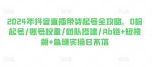 2024年抖音直播带货起号全攻略,0粉起号/账号权重/团队搭建/Ab链+短视频+鱼塘实操日不落-搞薯条网