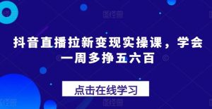 抖音直播拉新变现实操课，学会一周多挣五六百-搞薯条网
