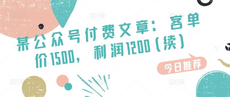 某公众号付费文章：客单价1500，利润1200(续)，市场几乎可以说是空白的 - 搞薯条网-搞薯条网