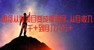 如何从做项目变成卖项目,从月收入几千到月入几万【揭秘】-搞薯条网