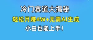 冷门赛道大揭秘，轻松月赚1W+无需AI生成，小白也能上手【揭秘】-搞薯条网