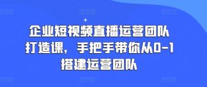 企业短视频直播运营团队打造课，手把手带你从0-1搭建运营团队-搞薯条网
