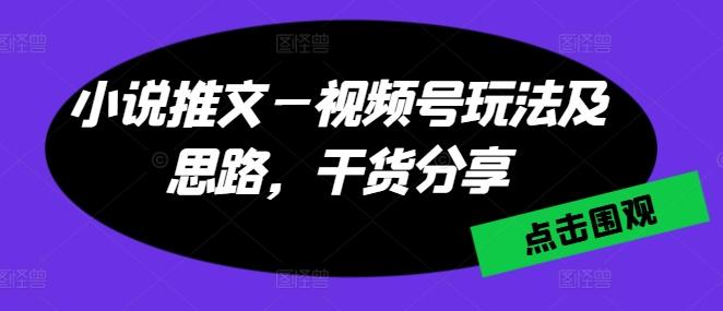 小说推文—视频号玩法及思路，干货分享 - 搞薯条网-搞薯条网