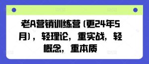 老A营销训练营(更24年6月)，轻理论，重实战，轻概念，重本质-搞薯条网