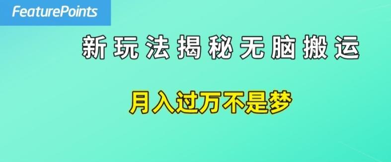 简单操作，每天50美元收入，搬运就是赚钱的秘诀【揭秘】 - 搞薯条网-搞薯条网